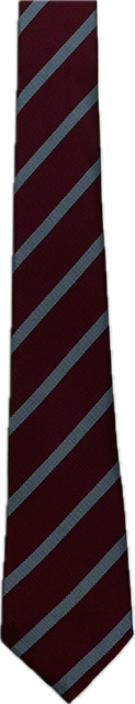 Junior Stripe Tie