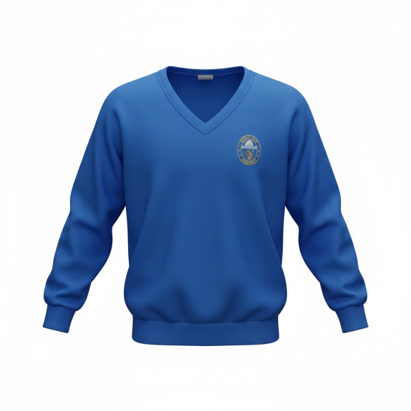 Unisex Royal V-Neck Sweatshirt Inc Embroidered Logo