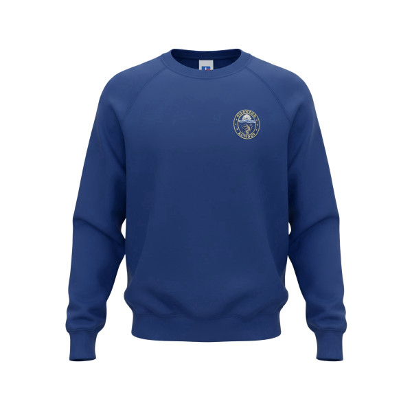 Unisex Royal Sweatshirt Inc Embroidered Logo